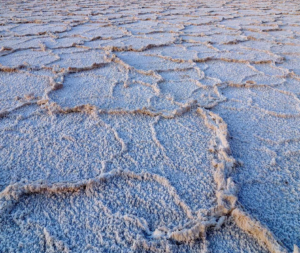 drought damage
